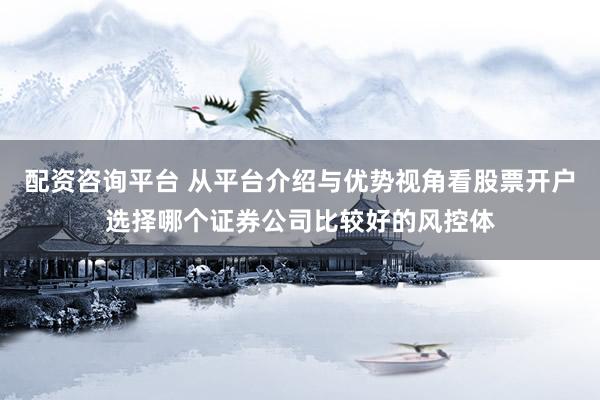 配资咨询平台 从平台介绍与优势视角看股票开户选择哪个证券公司比较好的风控体