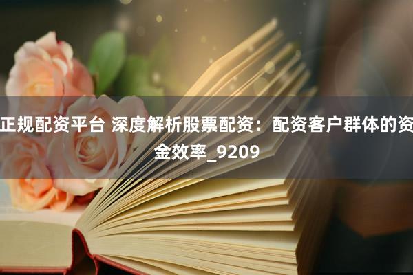 正规配资平台 深度解析股票配资：配资客户群体的资金效率_9209