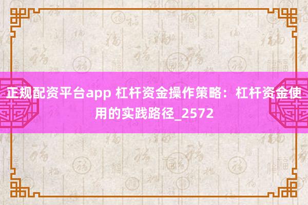 正规配资平台app 杠杆资金操作策略：杠杆资金使用的实践路径_2572