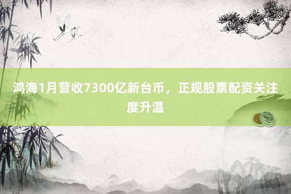 鸿海1月营收7300亿新台币，正规股票配资关注度升温
