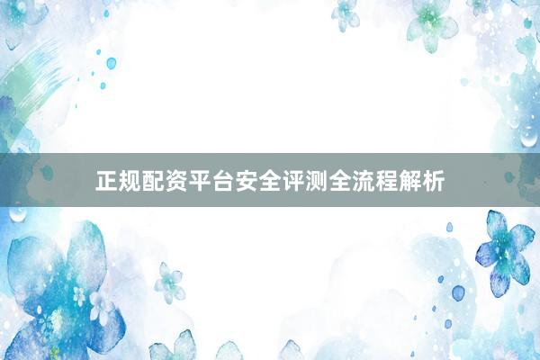 正规配资平台安全评测全流程解析