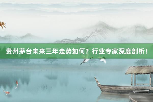贵州茅台未来三年走势如何？行业专家深度剖析！