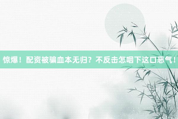 惊爆！配资被骗血本无归？不反击怎咽下这口恶气！