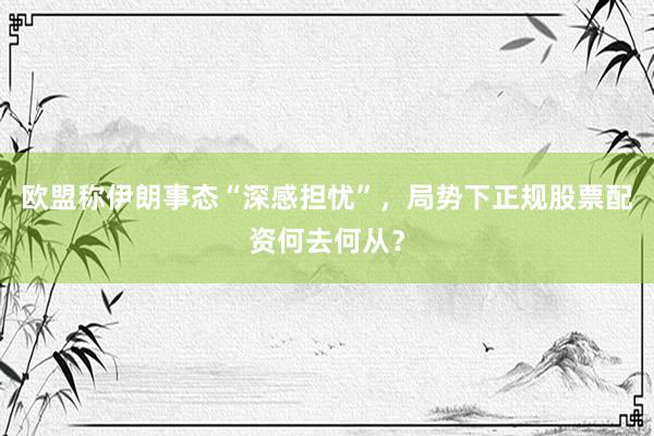 欧盟称伊朗事态“深感担忧”，局势下正规股票配资何去何从？