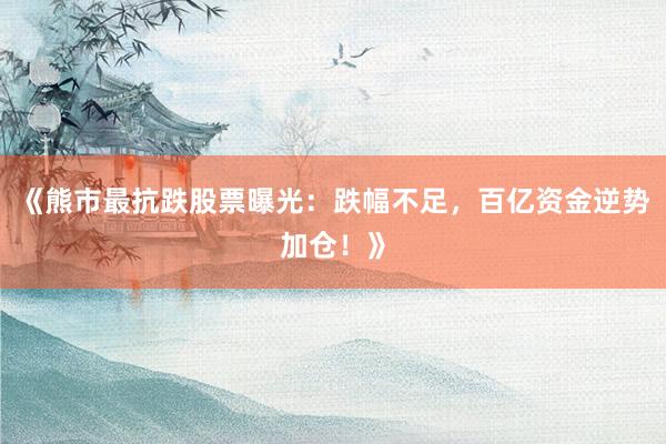 《熊市最抗跌股票曝光：跌幅不足，百亿资金逆势加仓！》