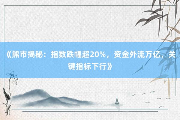 《熊市揭秘：指数跌幅超20%，资金外流万亿，关键指标下行》