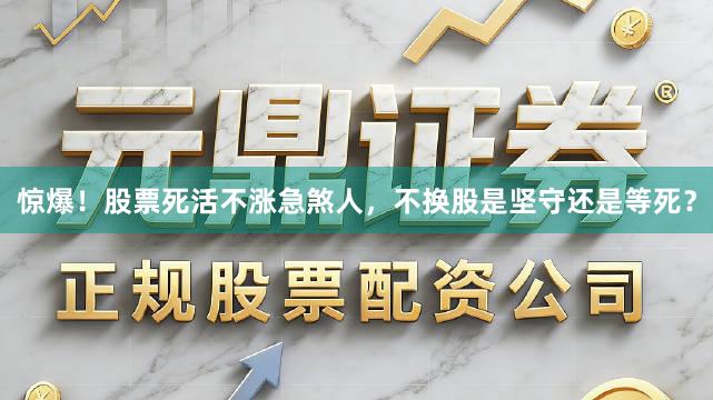 惊爆！股票死活不涨急煞人，不换股是坚守还是等死？