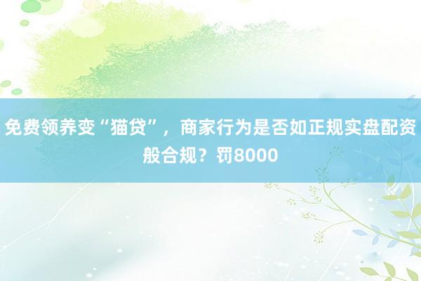 免费领养变“猫贷”，商家行为是否如正规实盘配资般合规？罚8000