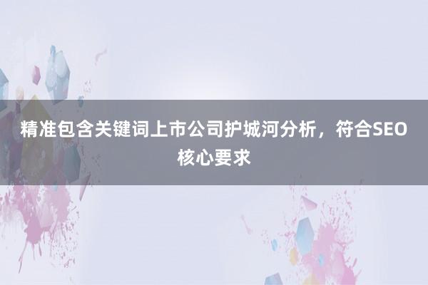 精准包含关键词上市公司护城河分析，符合SEO核心要求