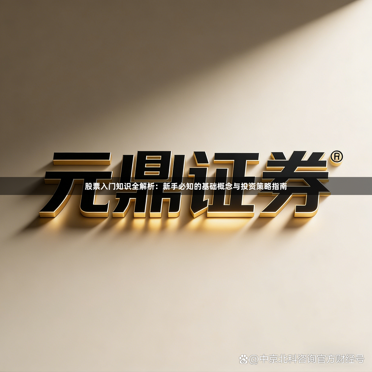 股票入门知识全解析：新手必知的基础概念与投资策略指南